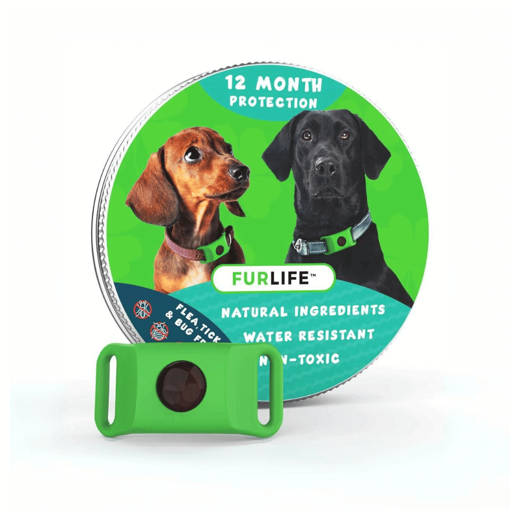 FurLife™ - 12 Months All Natural Flea and Tick Tags for Dogs