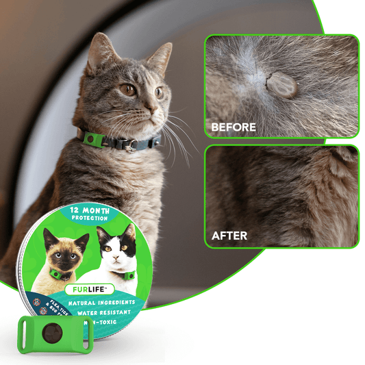 FurLife™ 12 Months Flea and Tick Free