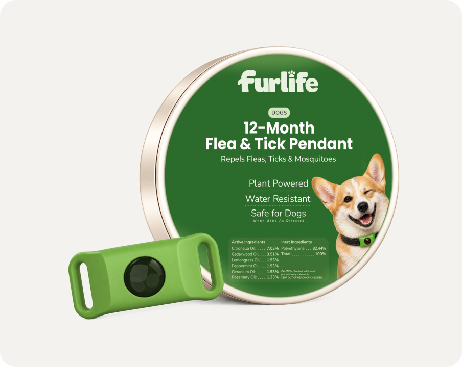 12-Month All Natural Flea & Tick Tag for Dogs (TEST)